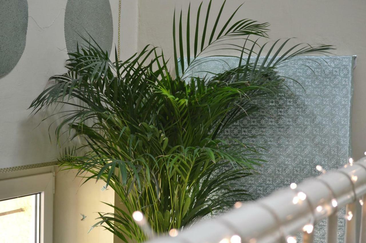 Aloes Studio Krakow Ngoại thất bức ảnh